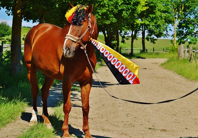 球员如安东 球员如安东