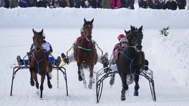 必要的战术 必要的战术