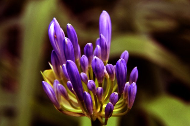 [视频]【报效祖国 建功西部】踔厉奋发 广大青年服务西部高质量发展.