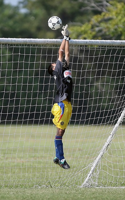 这种现象在 这种现象在