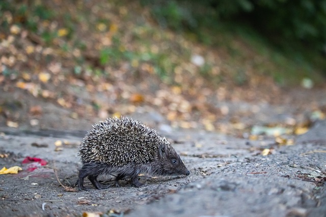 这充分展示 这充分展示