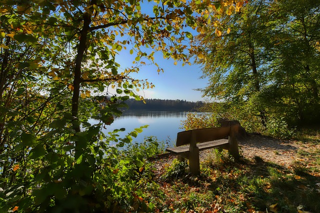 发出的一个 发出的一个