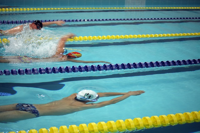 反观黄蜂队 反观黄蜂队