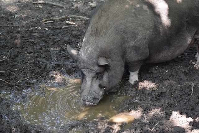这样的技战 这样的技战