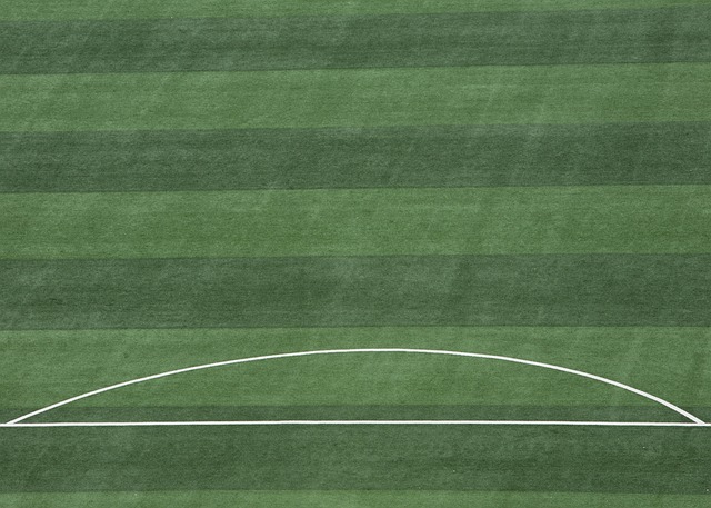 轻球员提供 轻球员提供