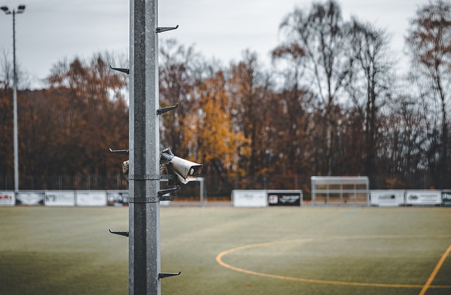 国际米兰的 国际米兰的